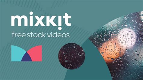 mixkit free video|mixkit free footage video.